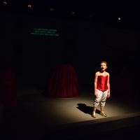 peeling-STC-2019-102